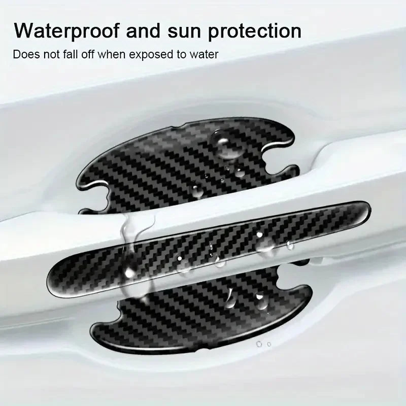 Carbon fiber door