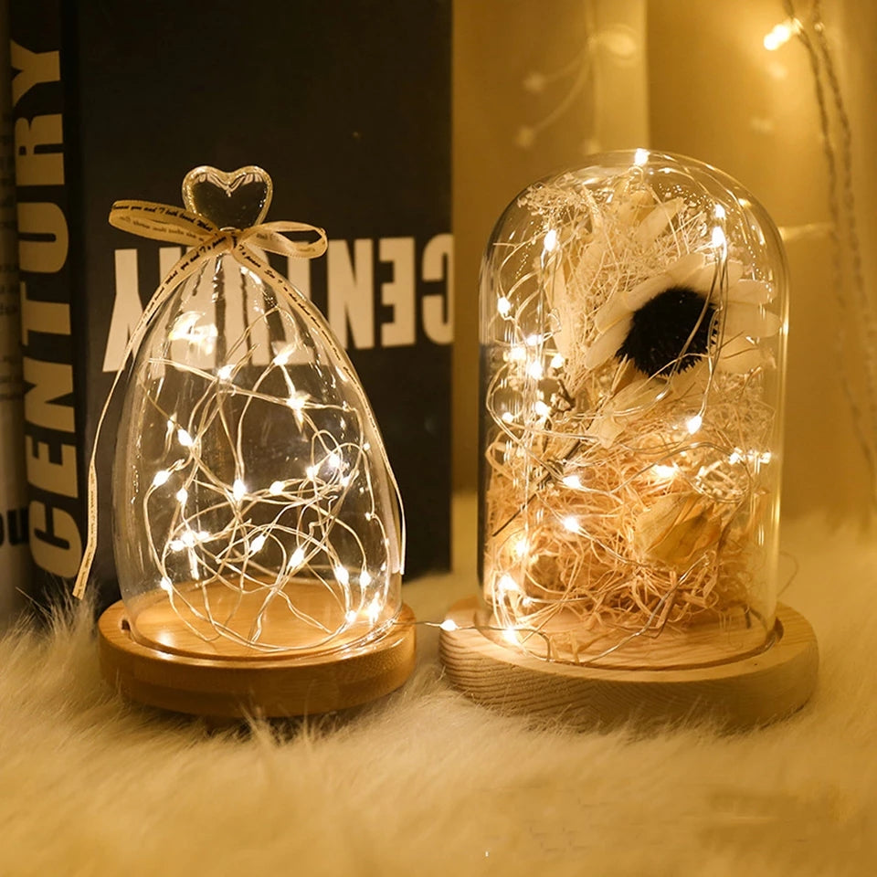 1-10M LED String Lights