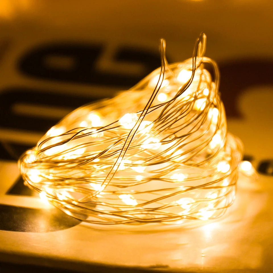 1-10M LED String Lights